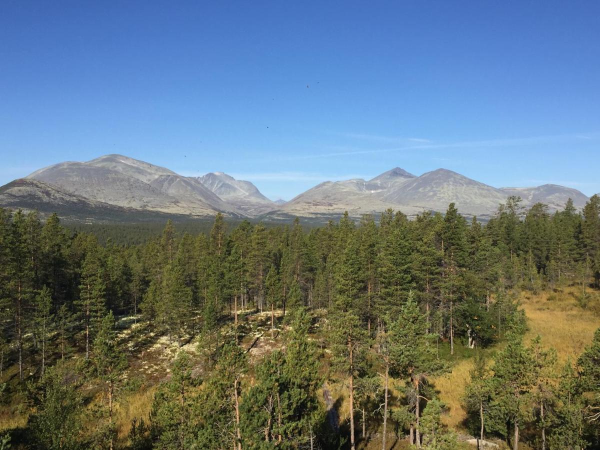 Rondane Sollia Friluftsliv Ovre Nordli Villa Kültér fotó