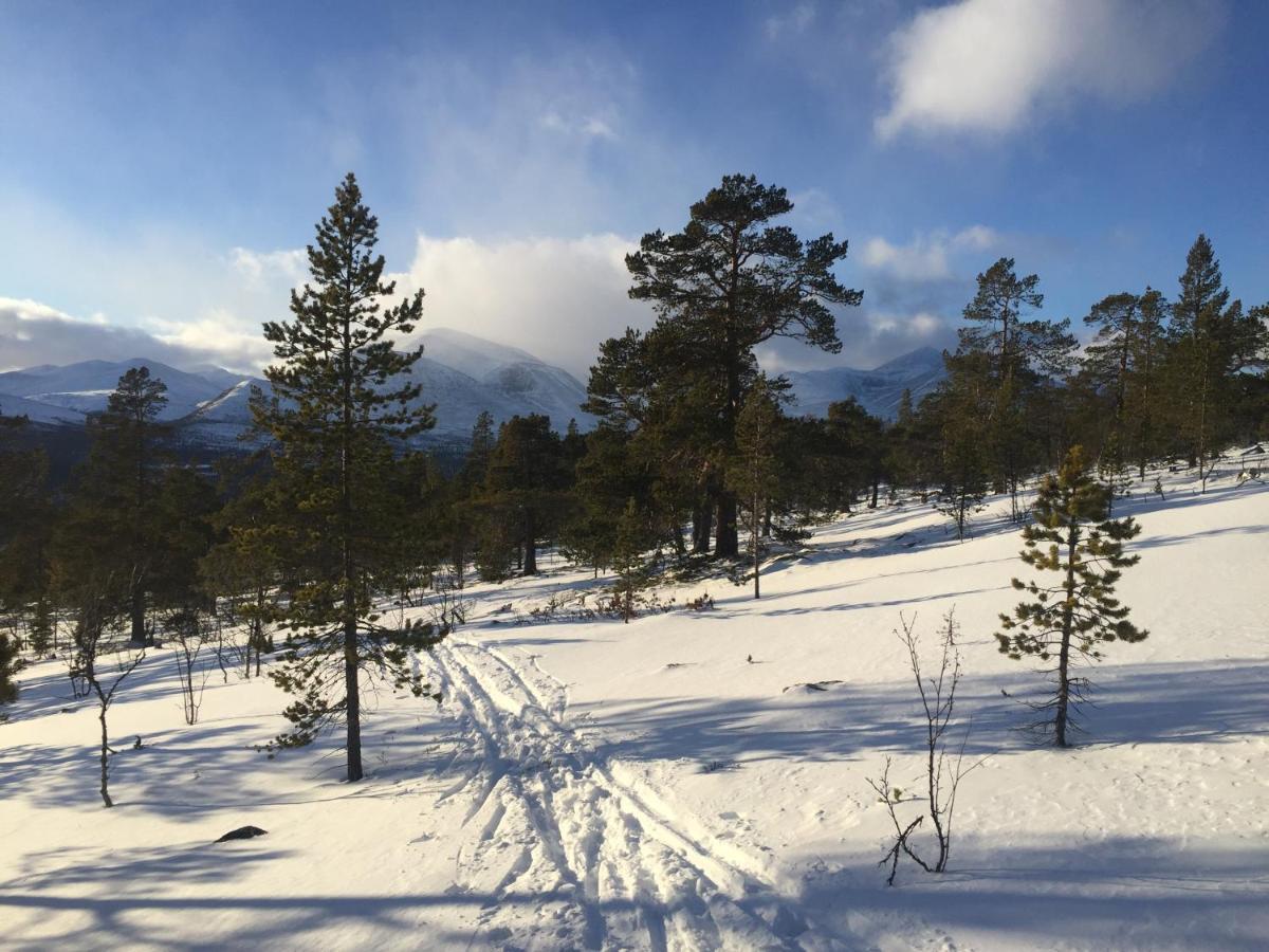 Rondane Sollia Friluftsliv Ovre Nordli Villa Kültér fotó
